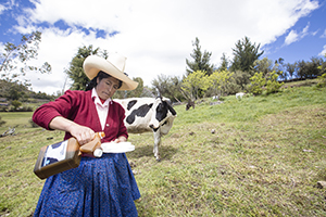 FONCREAGRO - Desarrollo de la ganadería 3